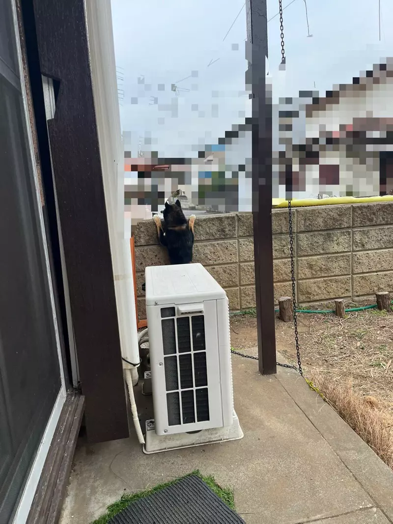 我的世界基岩版【】下载