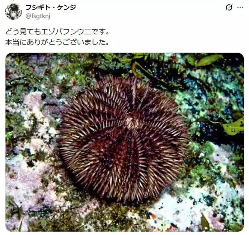 我的世界基岩版【】下载