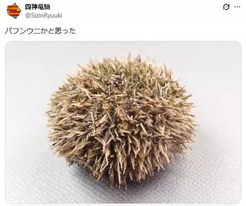 我的世界基岩版【】下载