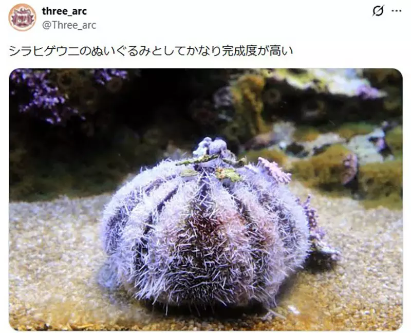 我的世界基岩版【】下载