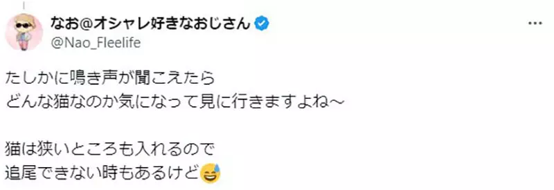日本知名绘师吐槽“动漫隐身术太离谱”！学猫叫就能骗过守卫，其实只会引来更多铲屎官！