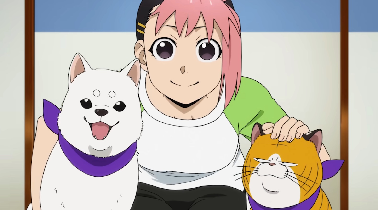 图片[6] - 那个日本超会讲故事的女人回来了！《钢之炼金术师》原班人马集结新作，四月热门番剧！ - 奇趣星球报 - 奇趣星球报