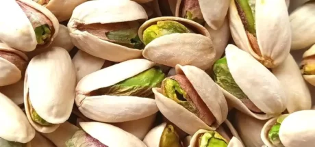 日本网友酒吧“社死”现场!第一次吃开心果连壳硬嚼,头盖骨都在颤抖! - 奇趣星球报