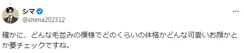 日本知名绘师吐槽“动漫隐身术太离谱”！学猫叫就能骗过守卫，其实只会引来更多铲屎官！