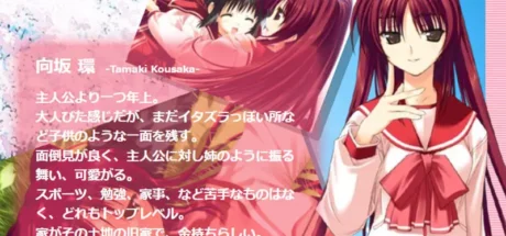 日本网友热议二次元审美通胀!2004年的顶级身材,放现在竟被嫌弃太小? - 奇趣星球报