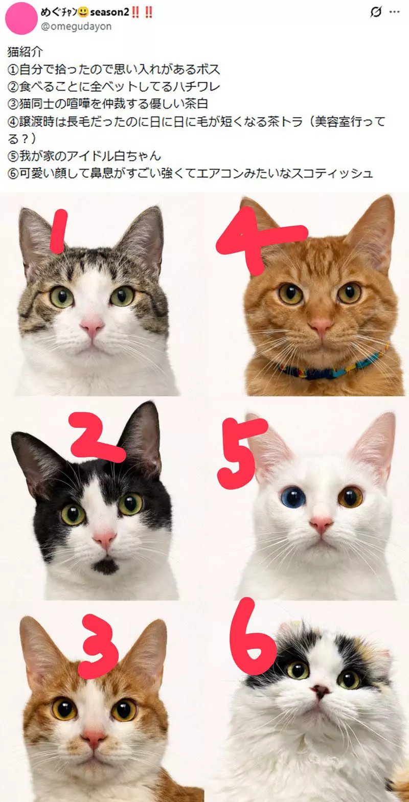 我的世界基岩版【】下载