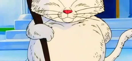 日本网友议论“孱弱小猫被收养半年胖若两猫”！不仅拥有治愈系幸福肥，还完美撞脸《七龙珠》猫仙人！ - 奇趣星球报