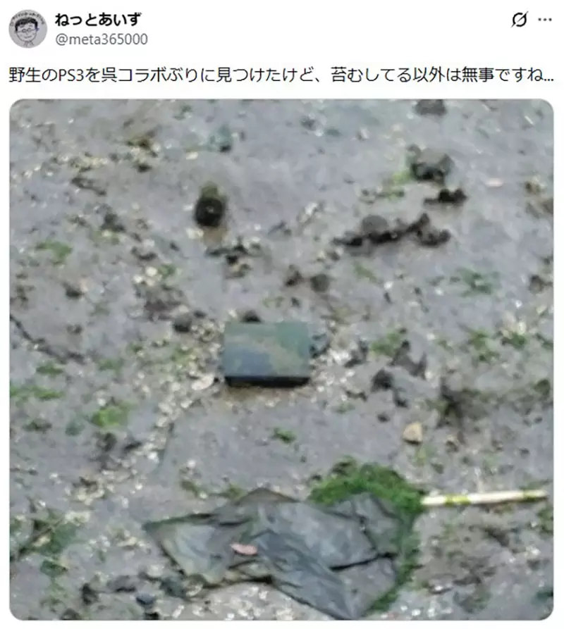 我的世界基岩版【】下载