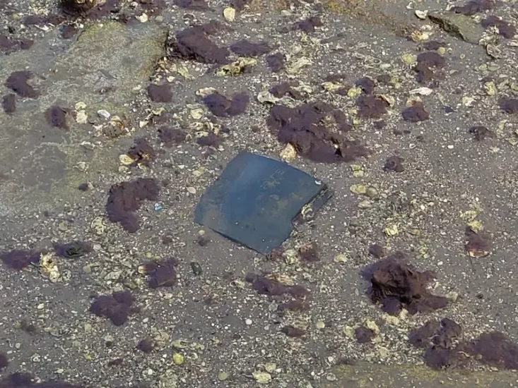 日本广岛吴市突现神秘打卡点？路人围观河底“野生PS3”，竟已在此镇守多年引热议！ - 奇趣星球报 - 奇趣星球报