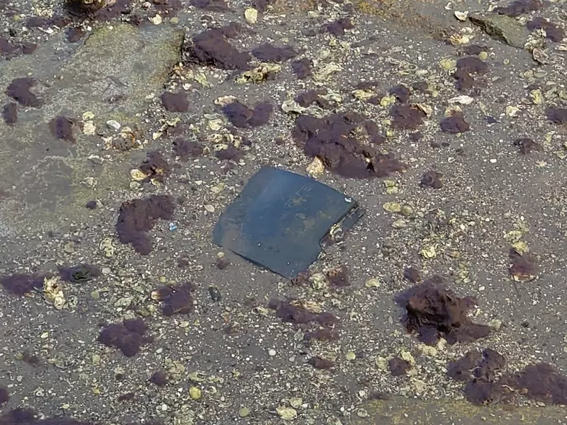 我的世界基岩版【】下载