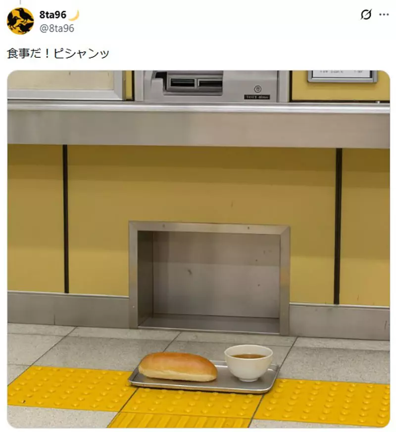 我的世界基岩版【】下载