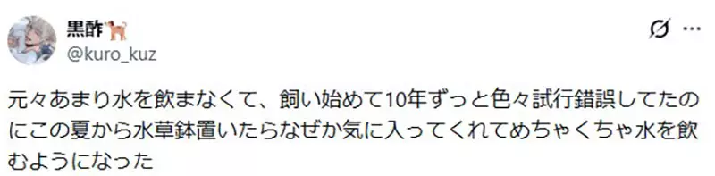我的世界基岩版【】下载 我的世界基岩版【】下载