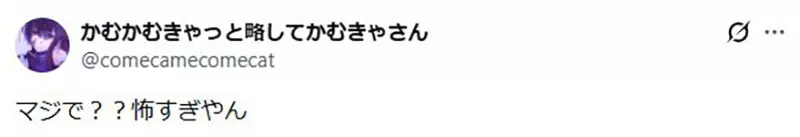 我的世界基岩版【】下载