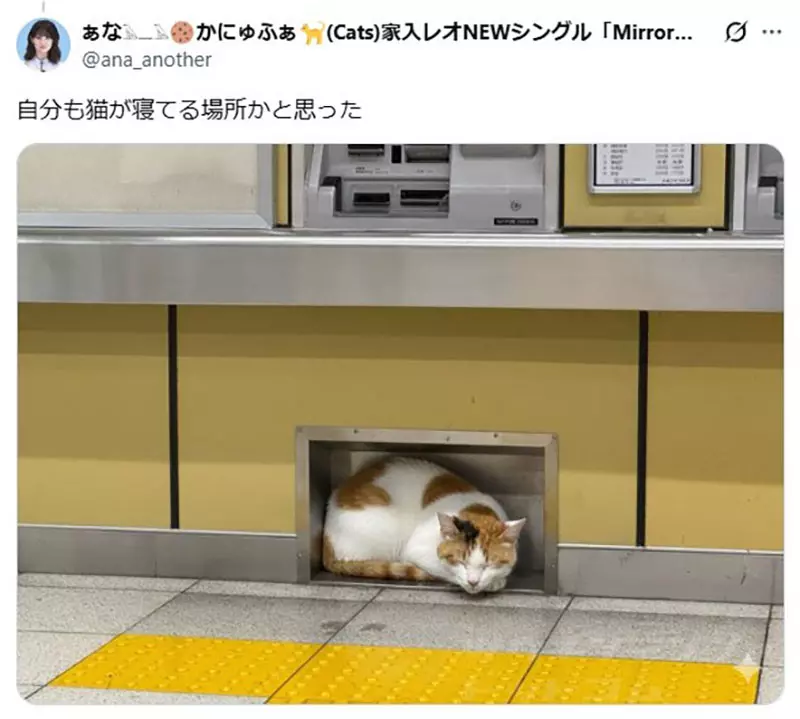 我的世界基岩版【】下载