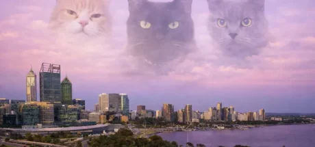 铲屎官出游竟集体产生诡异幻觉？日本网友议论“美景秒变猫主子大脸”，完全没法玩只想飞奔回家撸猫！ - 奇趣星球报