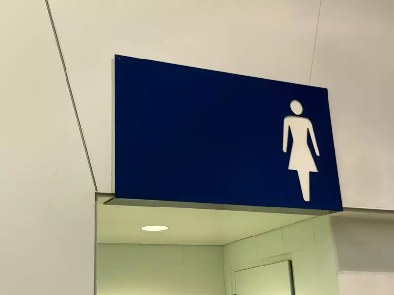 我的世界基岩版【】下载