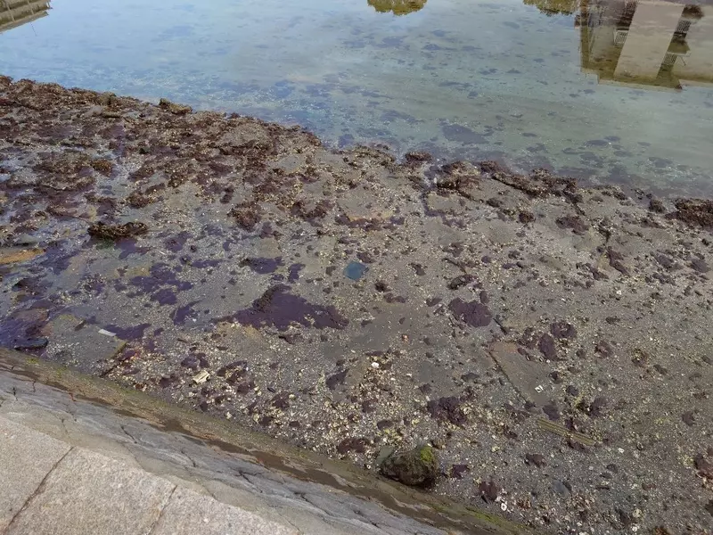 我的世界基岩版【】下载