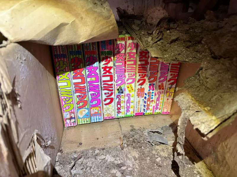 我的世界基岩版【】下载