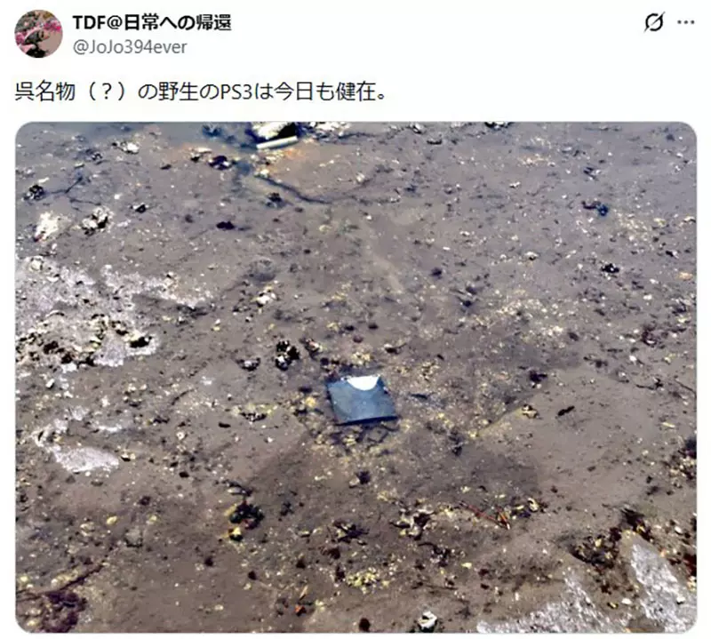 我的世界基岩版【】下载