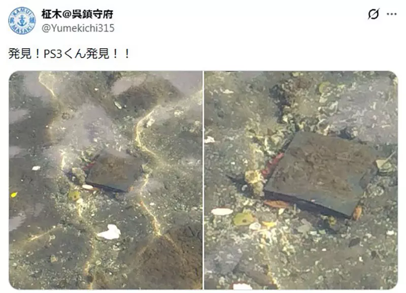 我的世界基岩版【】下载