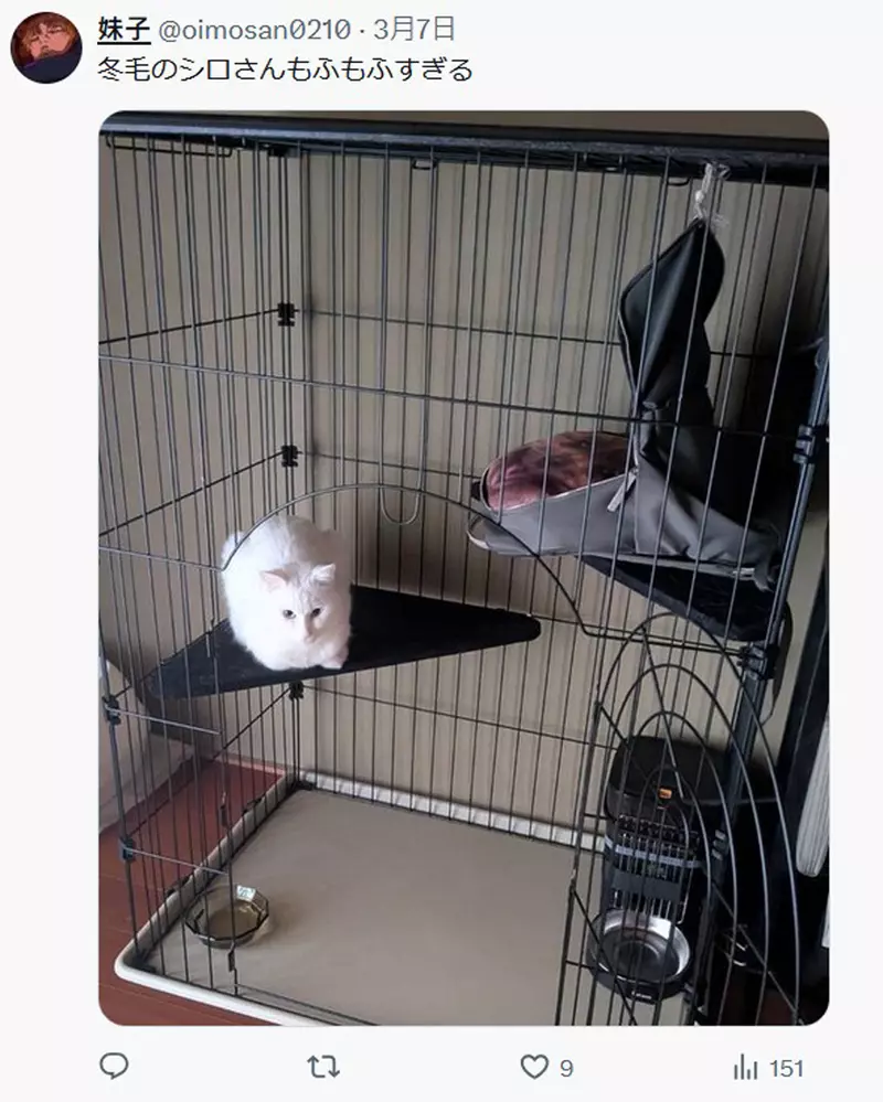 我的世界基岩版【】下载