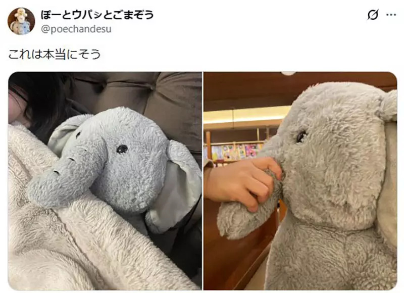 我的世界基岩版【】下载