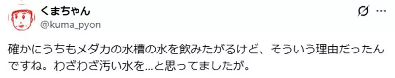 我的世界基岩版【】下载 我的世界基岩版【】下载