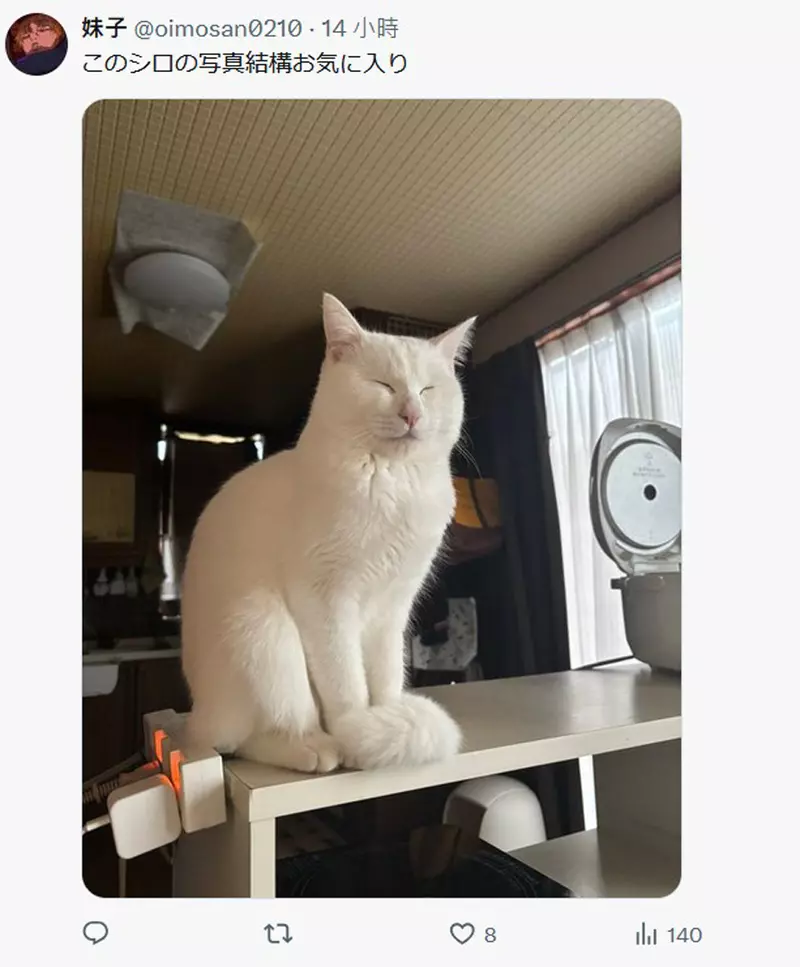 我的世界基岩版【】下载