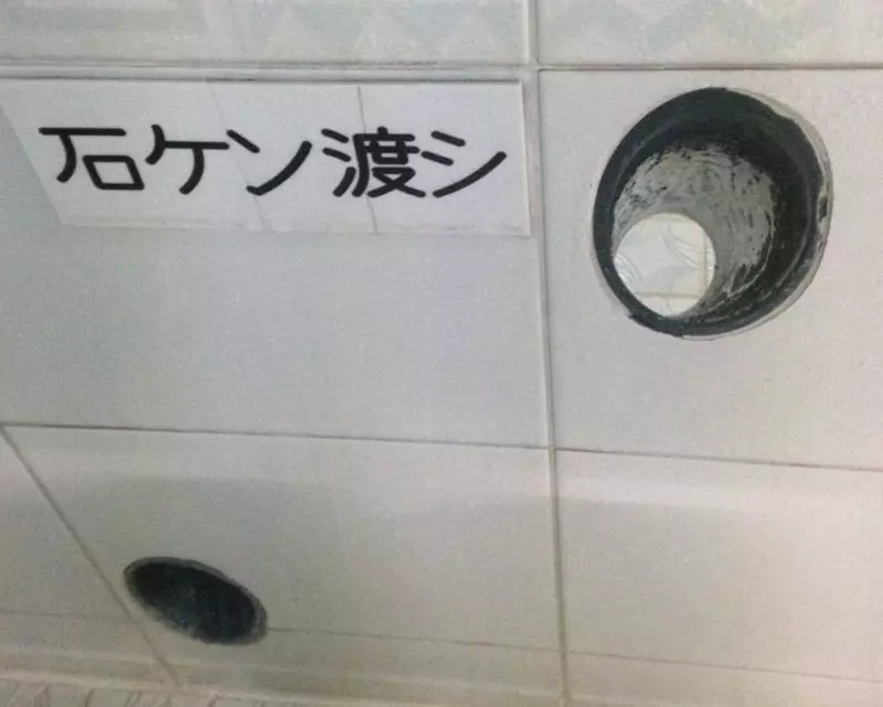 我的世界基岩版【】下载