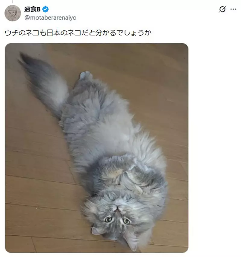 我的世界基岩版【】下载 我的世界基岩版【】下载