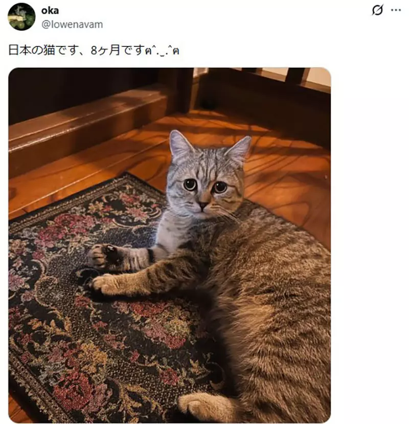 我的世界基岩版【】下载 我的世界基岩版【】下载