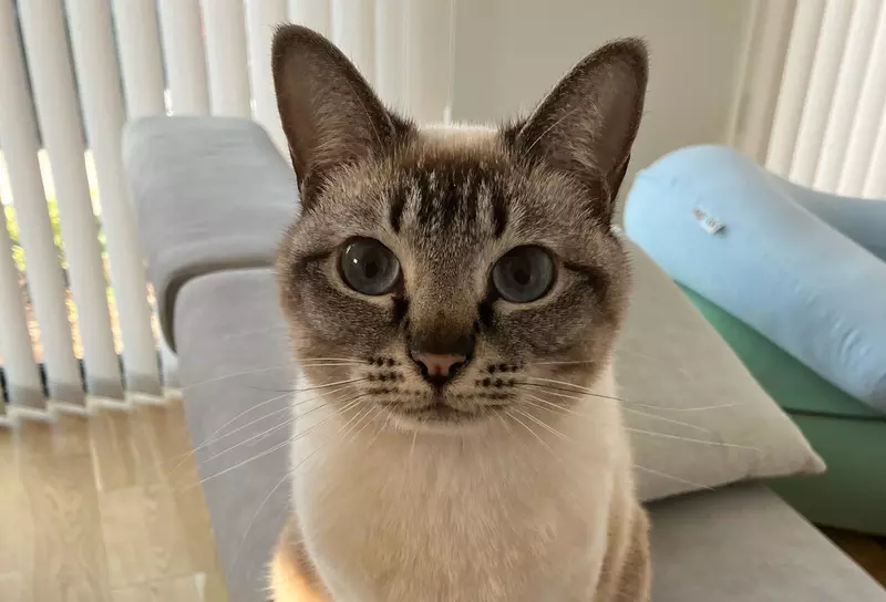 我的世界基岩版【】下载 我的世界基岩版【】下载