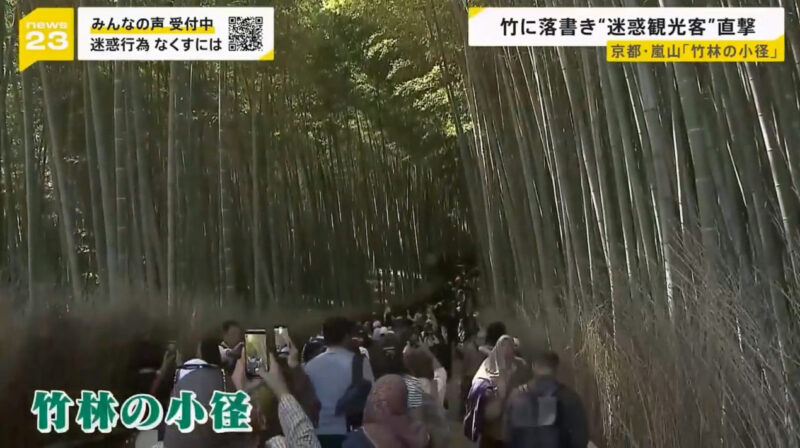 惹众怒！日本京都岚山竹林“惨遭外语刻字毁容”，韩国游客硬闯私人住宅被拦竟反呛：在我国这很正常！ - 奇趣星球报 - 奇趣星球报