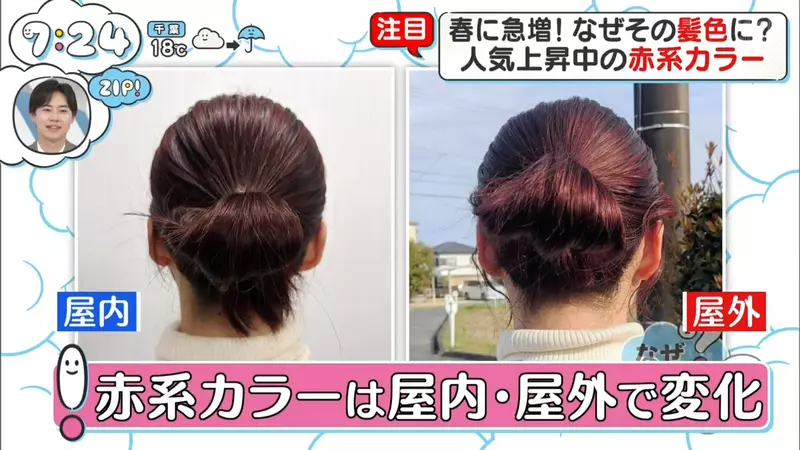 我的世界基岩版【】下载