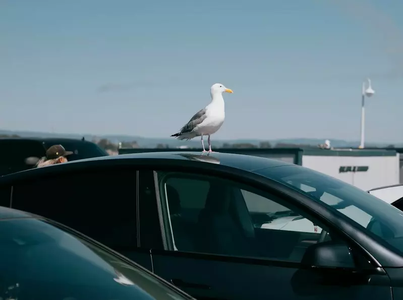 我的世界基岩版【】下载