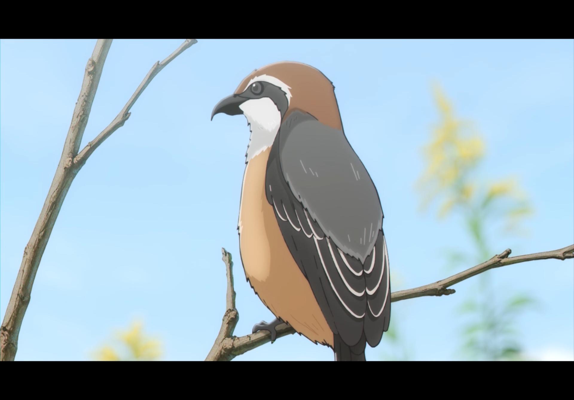 捡到会飙外语的神秘巨鸟！日本网友议论“动漫新番《库吉马唱歌的家》用流水素面治愈社恐”！