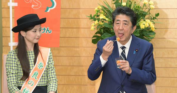 我的世界基岩版【】下载