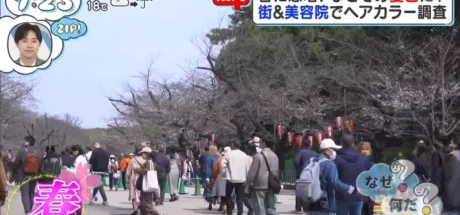 日本电视台探访“职场新人为何疯狂迷恋染红发”！原因竟是红发在阳光下容易出片，室内还自带完美的隐身效果！ - 奇趣星球报