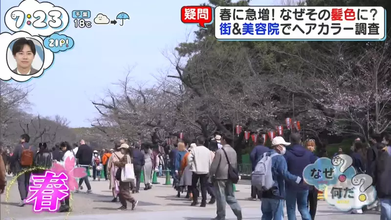 日本电视台探访“职场新人为何疯狂迷恋染红发”！原因竟是红发在阳光下容易出片，室内还自带完美的隐身效果！ - 奇趣星球报 - 奇趣星球报