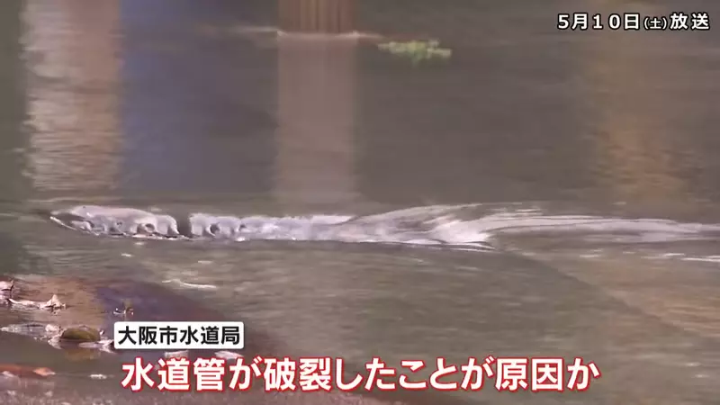 我的世界基岩版【】下载