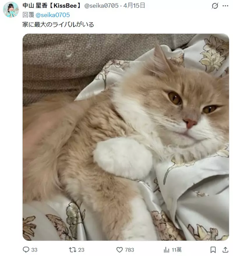 我的世界基岩版【】下载