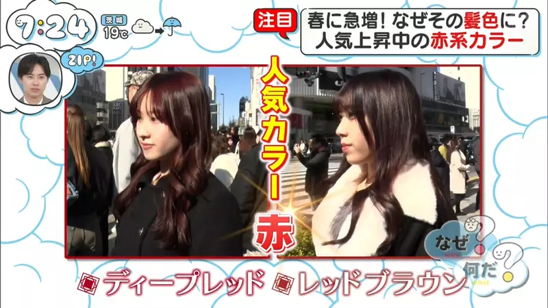 我的世界基岩版【】下载