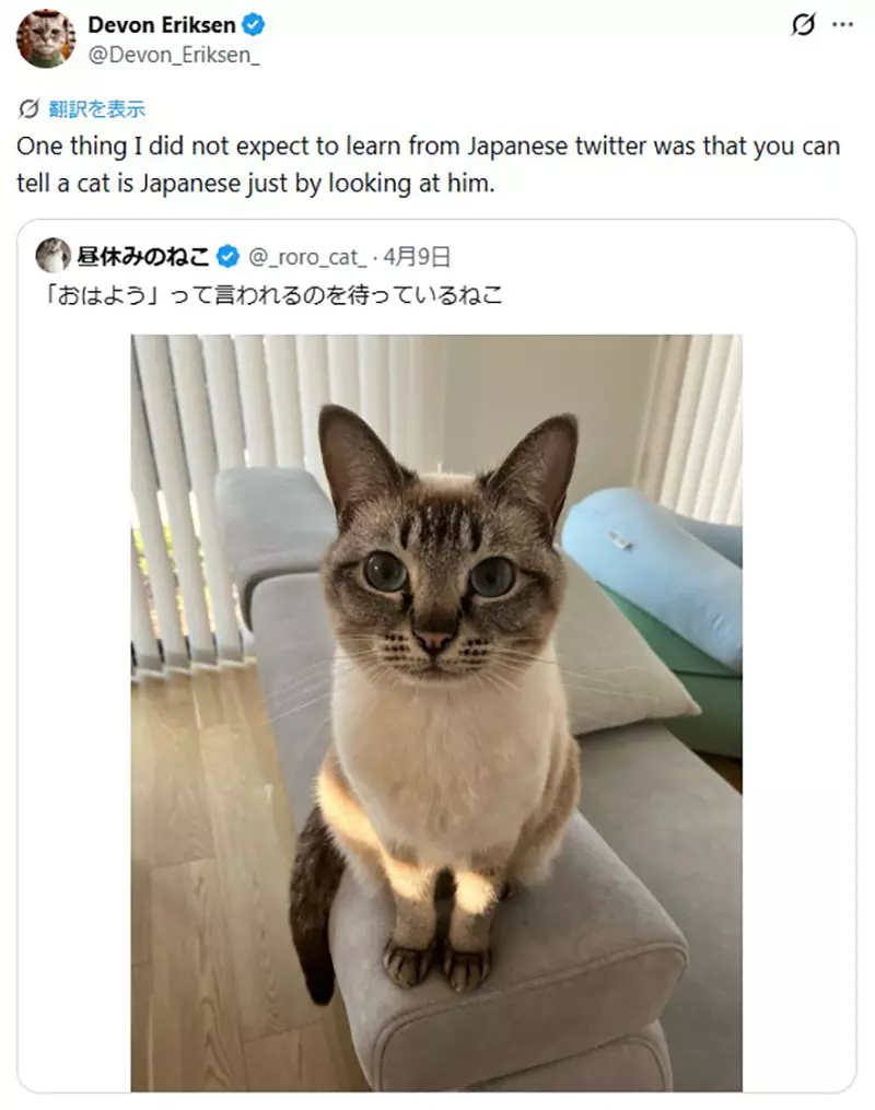 我的世界基岩版【】下载 我的世界基岩版【】下载