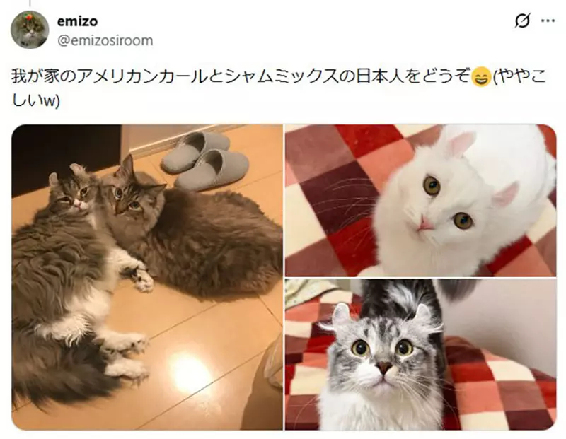 我的世界基岩版【】下载 我的世界基岩版【】下载