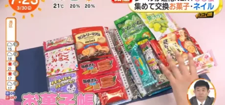 逃离贴纸天价炒作圈！日本电视台探访“年轻人掀起零食收集册狂潮”，好看好吃还是社交神器！ - 奇趣星球报