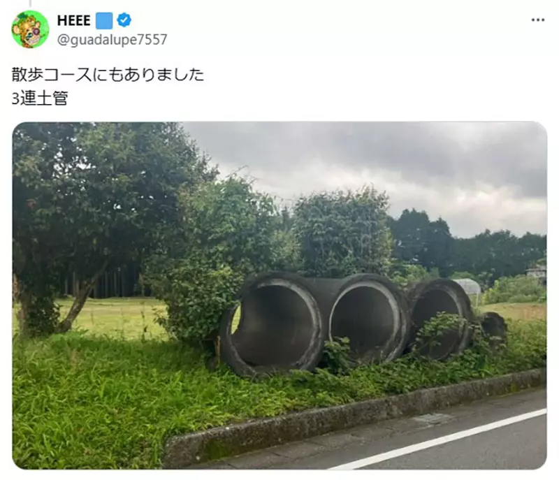 我的世界基岩版【】下载