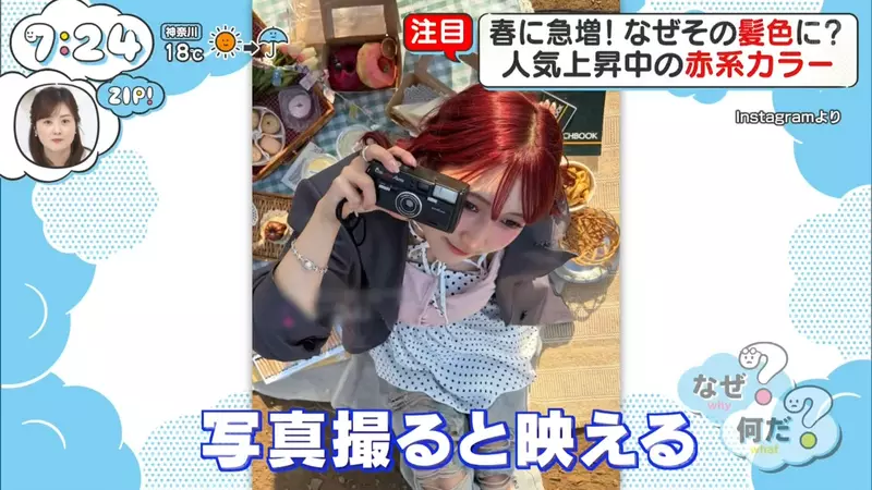 我的世界基岩版【】下载