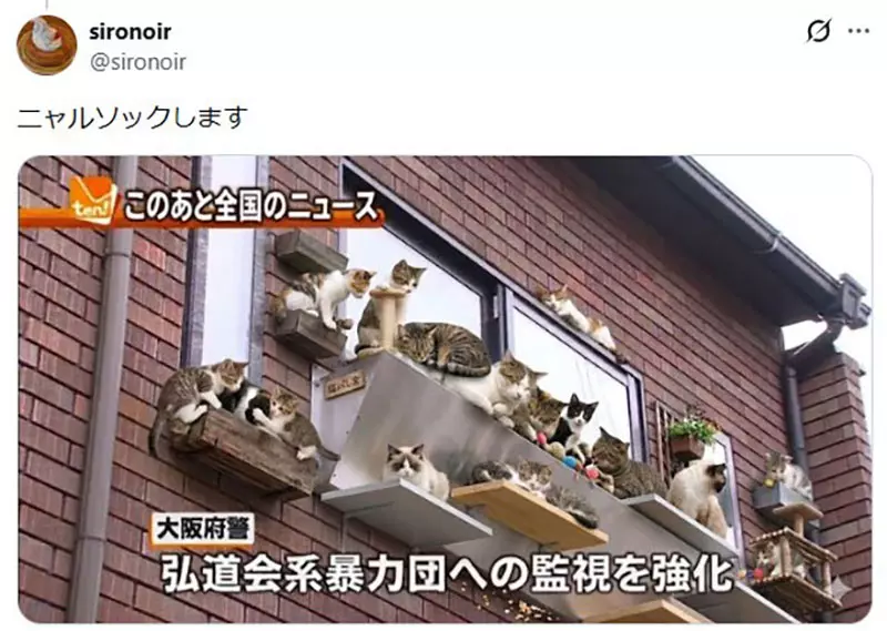 我的世界基岩版【】下载