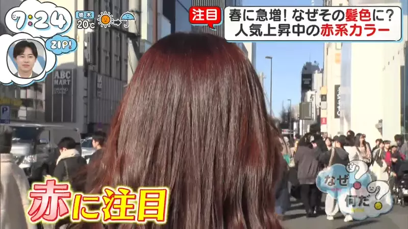 我的世界基岩版【】下载