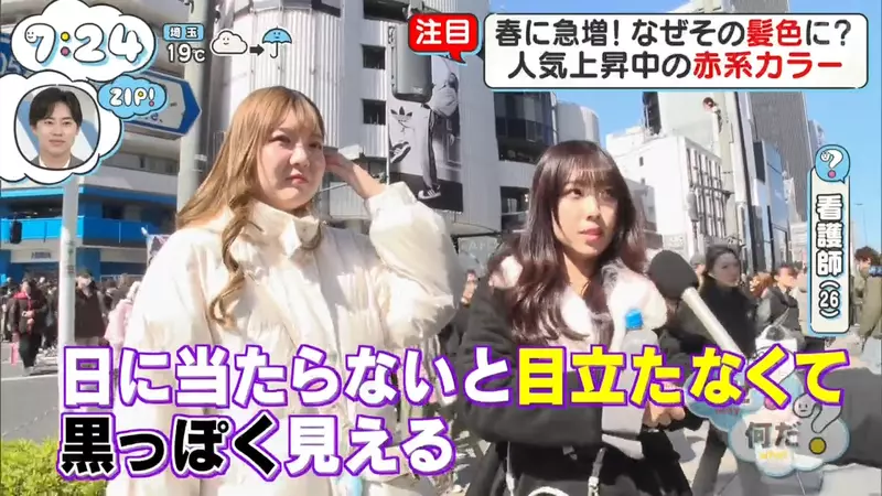 我的世界基岩版【】下载